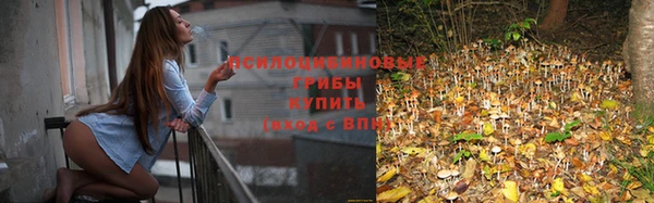 а пвп мука Горнозаводск