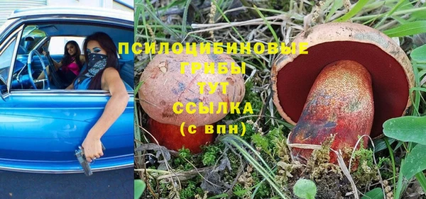 марки nbome Горняк