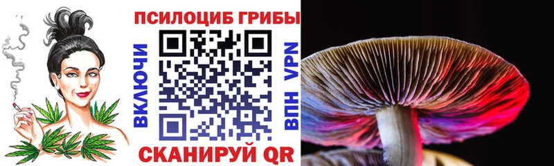 Галлюциногенные грибы Cubensis  хочу наркоту  Пионерский 